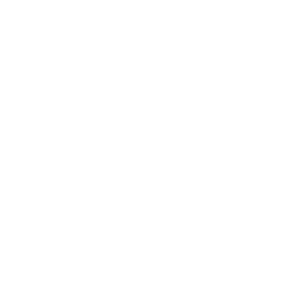 RIGJOY